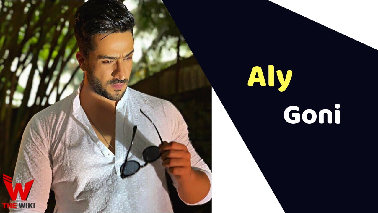 Aly Goni (Actor)