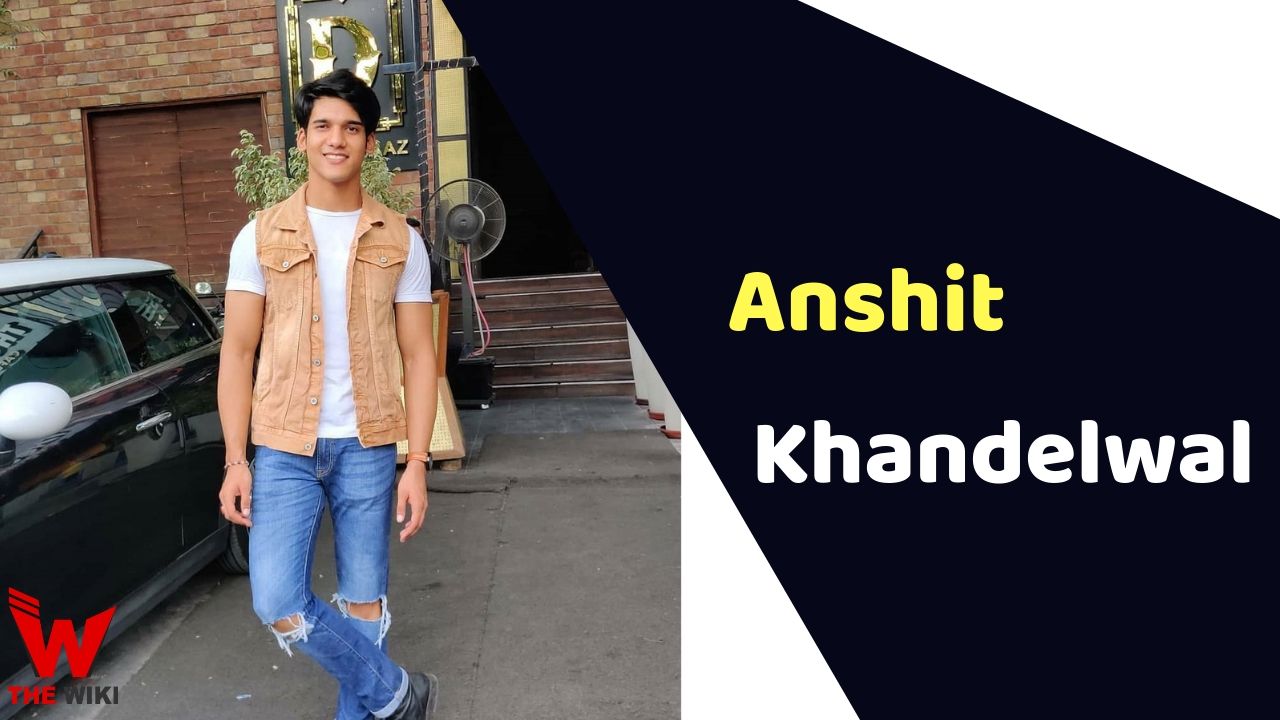 Anshit Khandelwal (MTV Splitsvilla)