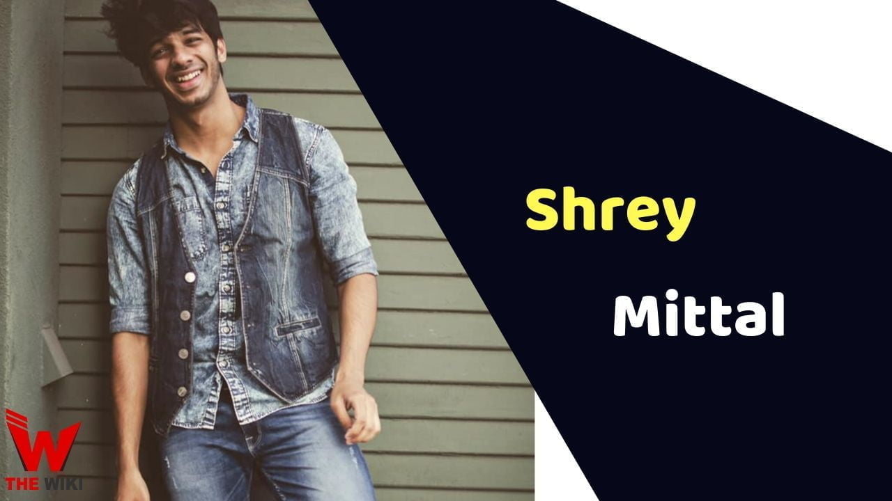 Shrey Mittal (MTV Splitsvilla)