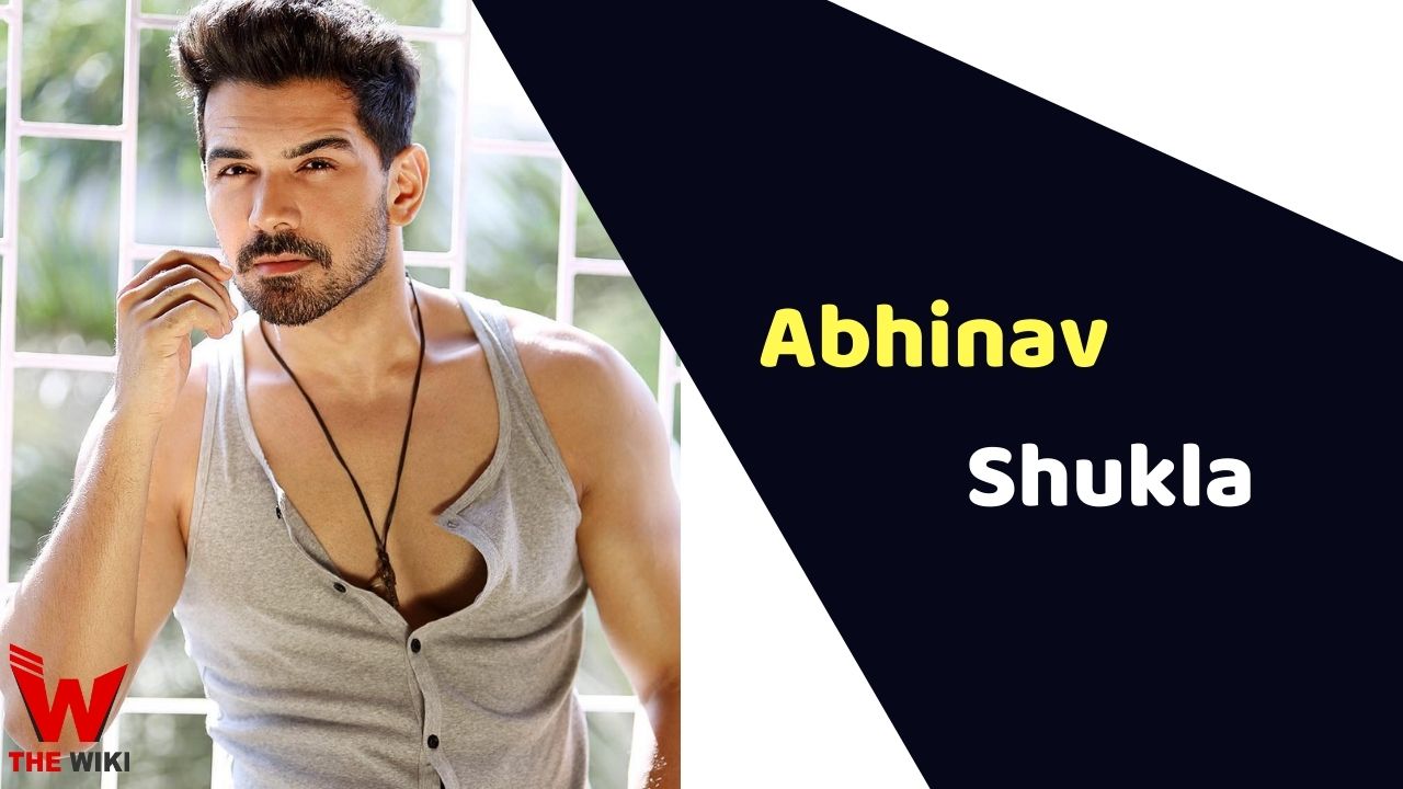 Abhinav Shukla (Actor)